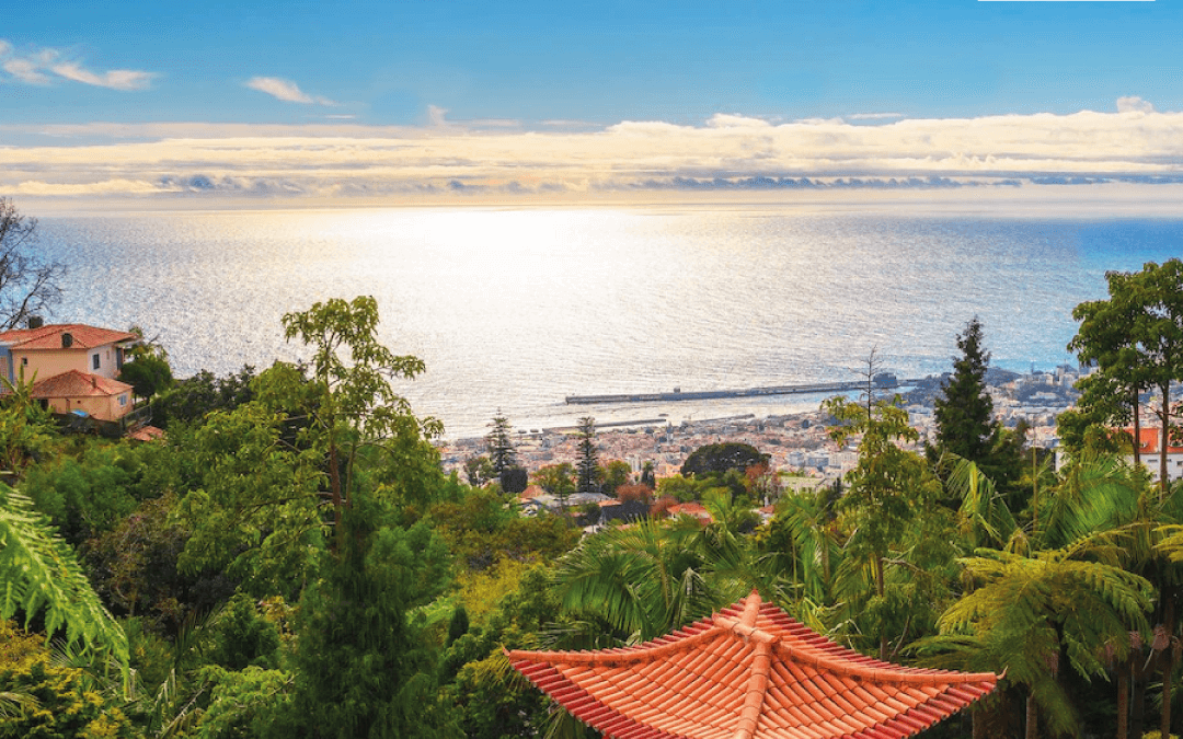 Odwiedzasz Maderę? 5 niezapomnianych rzeczy do zrobienia na wakacjach